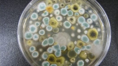 هلع في لبنان.. الهواء نفسه مصدر الخطر الصحي؟
