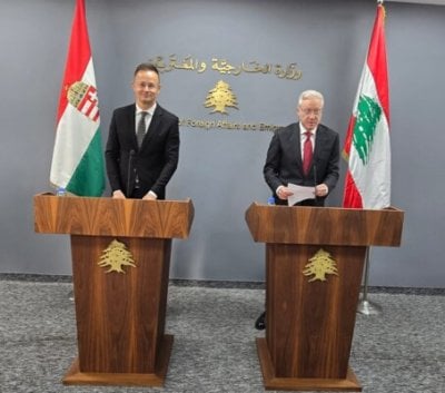 رجي: لا سلاح في لبنان إلّا السلاح الشرعي