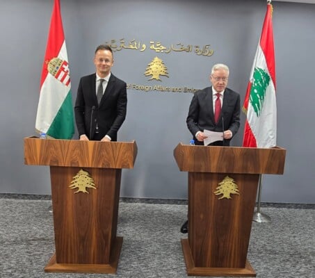 رجي: لا سلاح في لبنان إلّا السلاح الشرعي