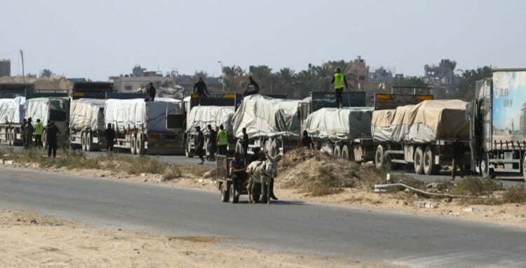من الشمال إلى الجنوب... القيادة الأميركية تفتح طريق المساعدات لغزة (فيديو)