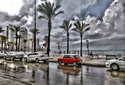 هَجْنَة على شرفات بيروت… حدث طبيعي يثير فرحة اللبنانيين بعد طول انتظار!
