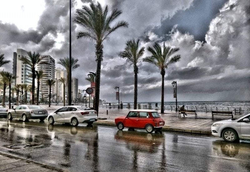 هَجْنَة على شرفات بيروت… حدث طبيعي يثير فرحة اللبنانيين بعد طول انتظار!
