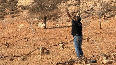 عمليات صيد ليلي في البقاع... 