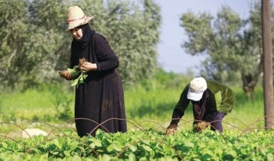 خسائر بالجملة في قطاع 