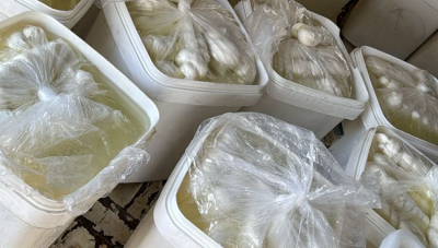 عملية نوعية للجمارك: توقيف شحنة أجبان سورية مهربة في صيدا