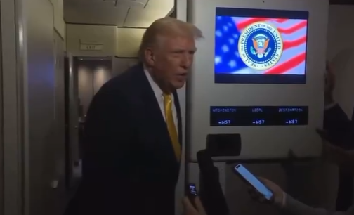 "الخنزيرة الصغيرة"... ترامب يهين صحافية! (فيديو)