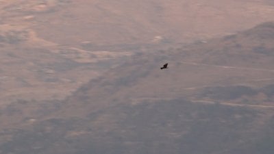 منخفض جوي يطرق ابواب 