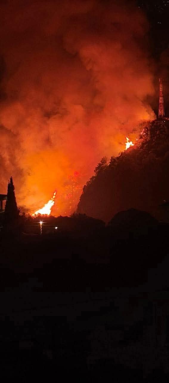 أحراج بطرماز – الضنية تشتعل… وجهود الإنقاذ تتعثر بانقلاب آلية إطفاء