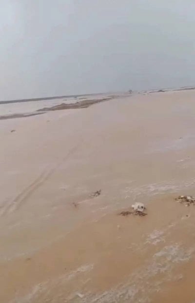 رفع حالة الطوارئ... سيول وأمطار رعدية تضرب مصر (فيديو)