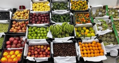 لا رقيب ولا حسيب