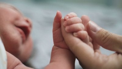 أسرار أخطر عصابة 