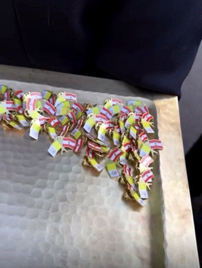 في القصر الجمهوري… الإعلاميون يرتدون 