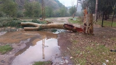 بعد التعدّي البيئي ليلًا… المصلحة الوطنية لنهر الليطاني تتحرّك