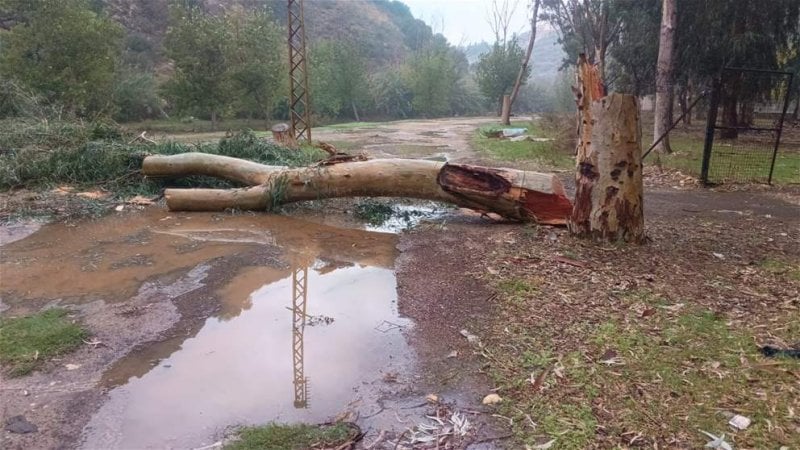 بعد التعدّي البيئي ليلًا… المصلحة الوطنية لنهر الليطاني تتحرّك