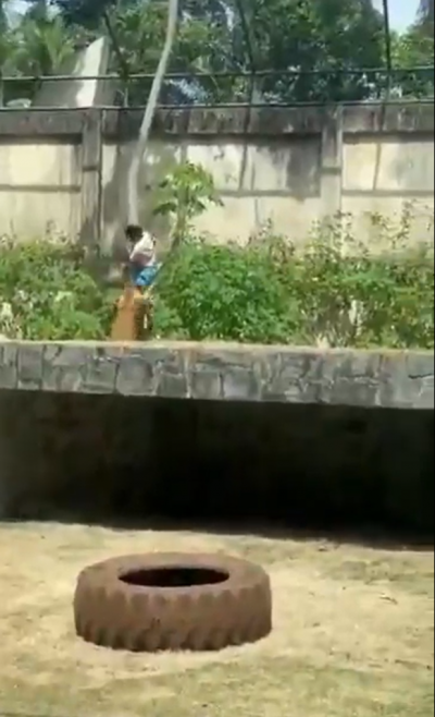 حادثة مؤسفة في متنزّه بالبرازيل… وفاة شاب داخل حظيرة لبوة (فيديو)