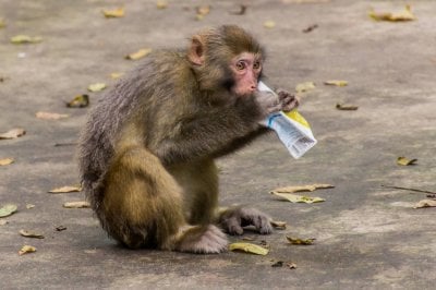 مصير التجارب يتغيّر فجأة... ترامب يتدخل في المختبرات