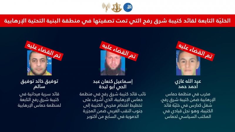 الجيش الإسرائيلي يعلن مقتل أربعة من قادة وعناصر حماس في رفح (فيديو)
