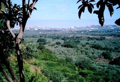 رسالة مباشرة وحادّة إلى المعنيين… أوقفوا المهزلة قبل الانفجار: فلن نسمح لكم!
