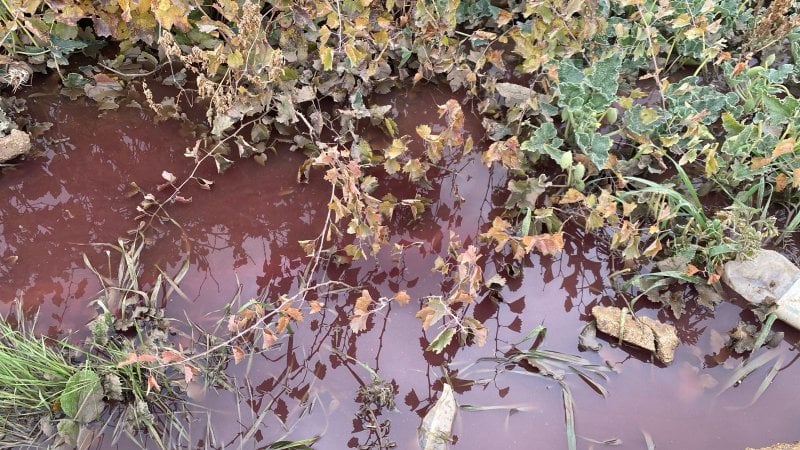 تسرّب ملوّث نحو الليطاني… تحرّك فوري لفرق المصلحة! (صور)