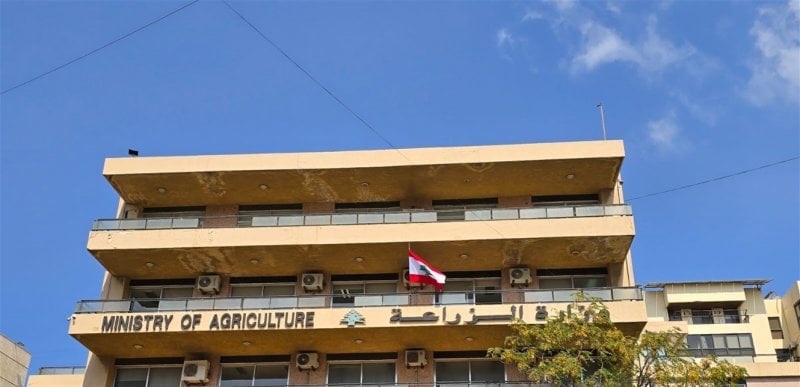 منع نقل المواشي عشوائيًا... "الزراعة" تُشدّد إجراءات مواجهة الحمّى القلاعية