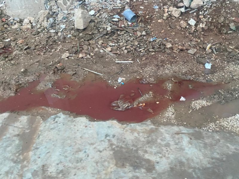 بعد فضح التلوّث الأحمر… مصلحة الليطاني تكشف التفاصيل (فيديو)