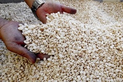 قادمة من لبنان... دمشق تحبط شحنة كبيرة من الكبتاغون