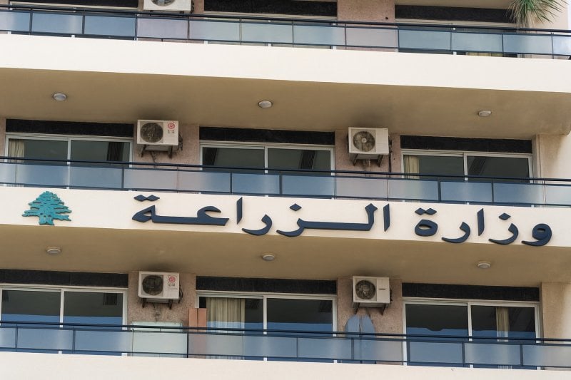 بشأن الحمّى القلاعية… تطمينات من "الزراعة" وخطة لاحتواء انتشارها