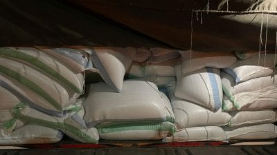 بعد عمليات دقيقة في طرابلس والعبودية… الجمارك تضبط دخانًا وعدسًا مهرّبًا