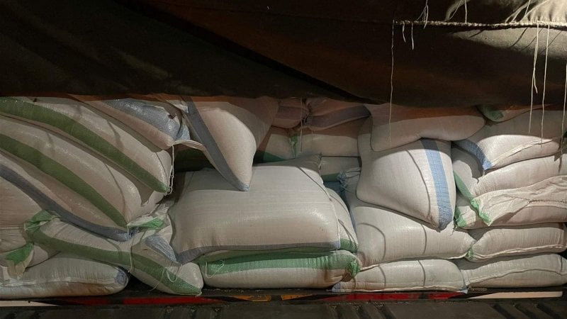 بعد عمليات دقيقة في طرابلس والعبودية… الجمارك تضبط دخانًا وعدسًا مهرّبًا