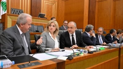 جلسة مثمرة... بو صعب: أنجزت خمسة قوانين بانتظار الهيئة العامة