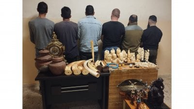 بالكسر والخلع في طرابلس …سرقة مقتنيات اثرية والامن يوقف المتهمين 