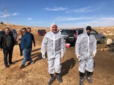 بدءًا من البقاع… وزارة الزراعة تطلق حملة تحصين الأبقار ضد الحمى القلاعية (صور)