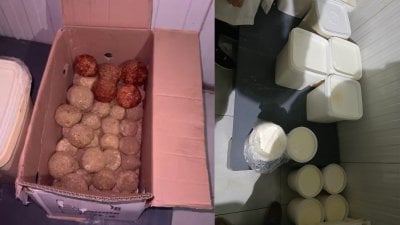 لبنة فاسدة ومعايير غائبة... 