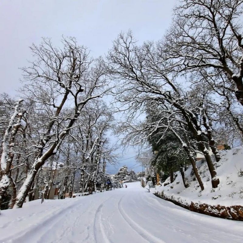 بسبب تراكم الثلوج... إليكم الطرقات الجبلية المقطوعة