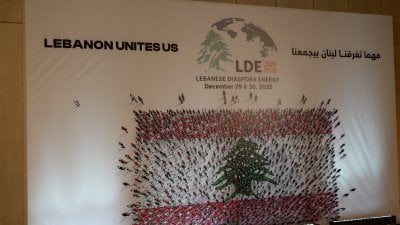 قانون الانتخاب على طاولة الاغتراب اللبناني
