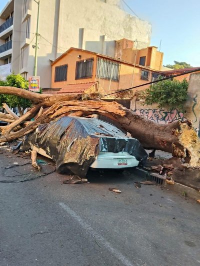 زلزال عنيف يضرب المكسيك… قتيلان ودمار واسع جنوب البلاد