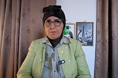 قاهرة الفلول 