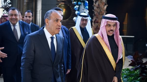 موقف عربي موحّد… مصر والسعودية تتصدّيان للمساس بسيادة الصومال