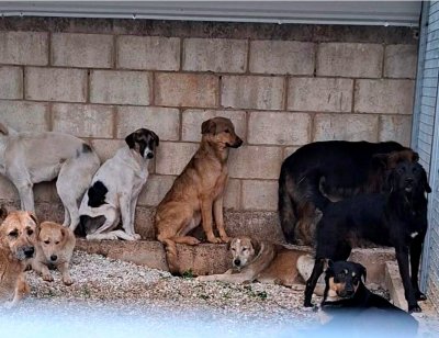 جريمة تُرتكب في طرابلس… صور 