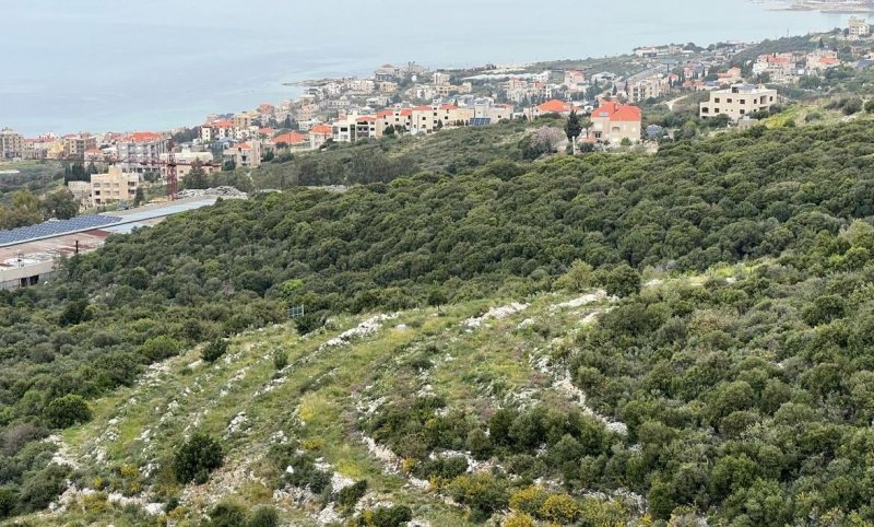 بعد العثور على قذيفة هاون… بلدية تحوم توضح