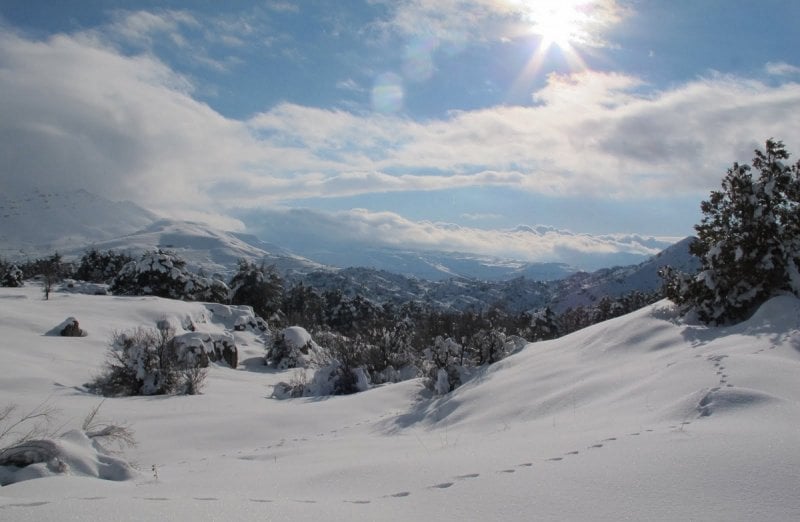 انقلاب قاسٍ في الطقس: منخفضان متتاليان يضربان لبنان… أمطار غزيرة وثلوج: احذروا!
