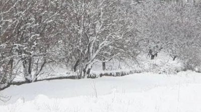 للمرة الأولى هذا العام... الثلوج غمرت بلدات قضاء بعلبك