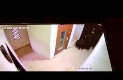 جريمة في وضح النهار بطلها 