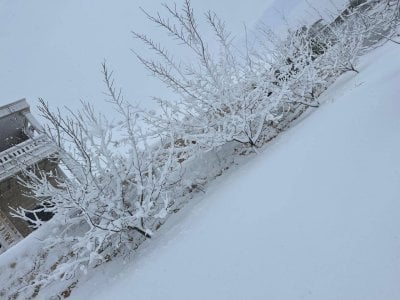 الشتاء يفرض حضوره... صور وفيديوهات ترصد الثلوج والأمطار في لبنان!
