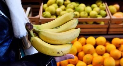 الموز اللبناني يتصدّر المشهد… خطوة قد تشكل نقطة تحوّل!
