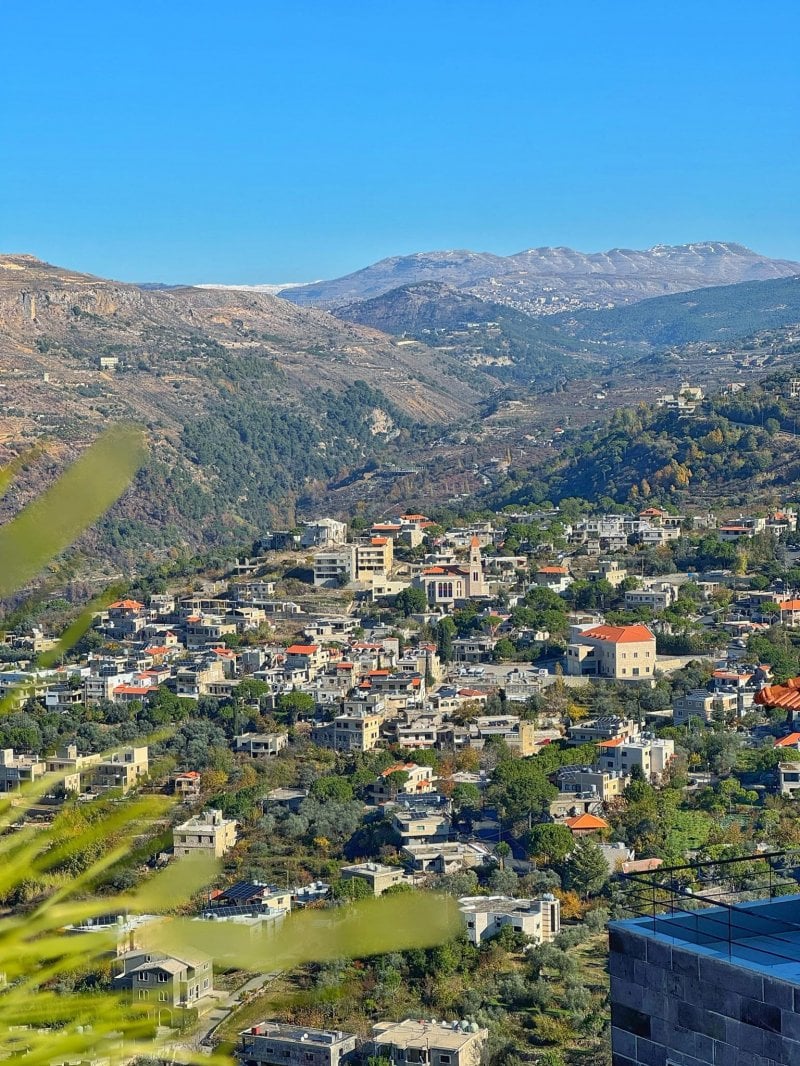 "الأخْوَث" ينبعث من جديد... وأهالي بلدة شوفية يأملون خيرًا (فيديو)
