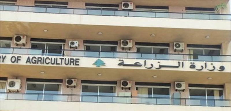 فيضانات الشمال تضرب الزراعة… الوزارة تدعو إلى تحرّك فوري!