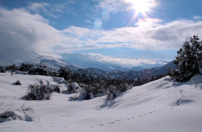 بعد الاستراحة القصيرة... استعدوا لمنخفض جوي جديد يعقبه بردٌ قطبي قارس!
