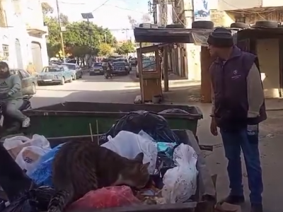 مشهد تقشعر له الابدان... عسكري متقاعد تحت 