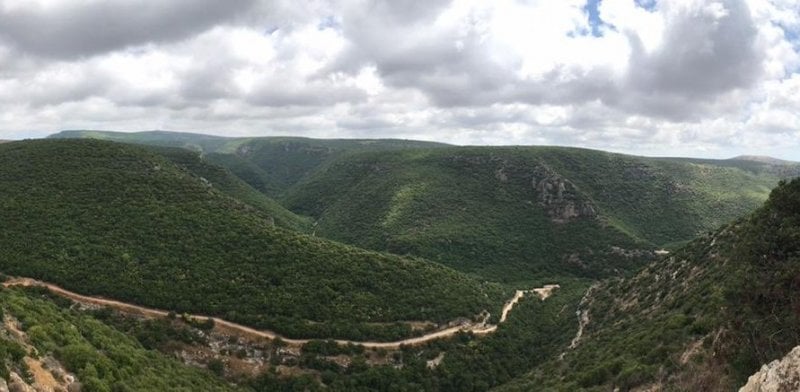 تصعيد ليلي جنوبًا… غارة إسرائيلية تستهدف زبقين